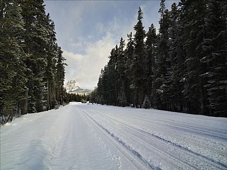 积雪,道路,班芙,艾伯塔省,加拿大