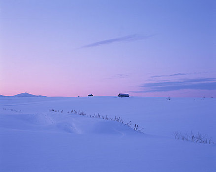 雪原,家