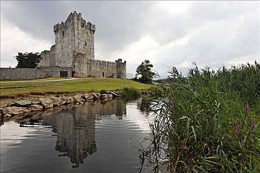 城堡,湖,道路,基拉尼国家公园,爱尔兰