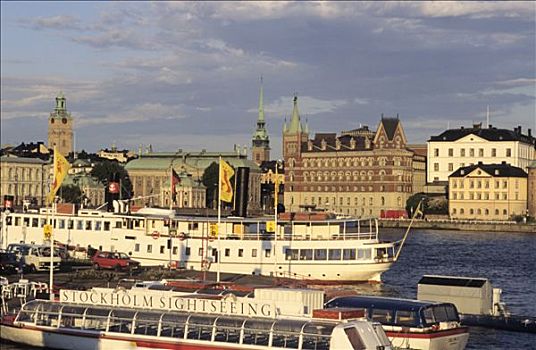 瑞典,斯德哥尔摩,城镇,岛屿,市政厅