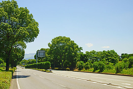 熊本,道路,路线,航空公司