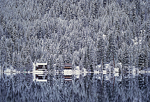 湖,省立公园,靠近,普林斯顿,不列颠哥伦比亚省,加拿大