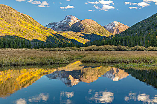 美国,犹他,国家森林,山,河,风景,画廊,大幅,尺寸