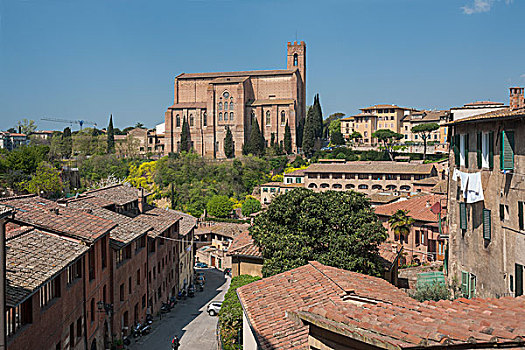 大教堂,正面,锡耶纳,托斯卡纳,意大利,欧洲