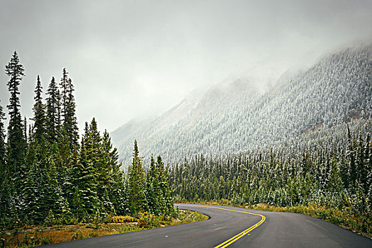 公路,班芙国家公园,加拿大