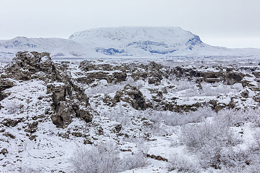 冬季风景,湖,米湖,冰岛