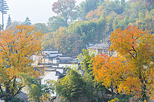 塔川秋景