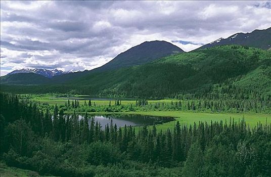 风景,河谷,育空地区,加拿大,北美