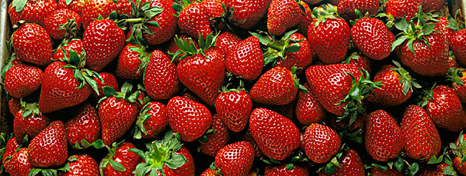 红色,成熟,草莓,全画幅