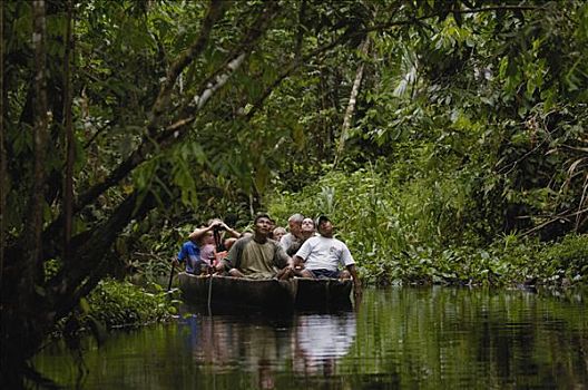 游客,独木舟,河流,国家公园,生物保护区,亚马逊雨林,厄瓜多尔