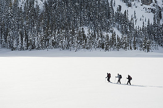 雪鞋,华盛顿山,温哥华岛,不列颠哥伦比亚省,加拿大
