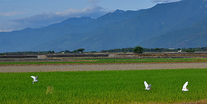 山水,田园