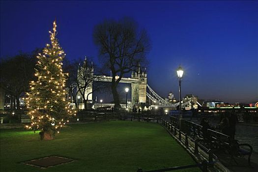 圣诞节,景色,塔桥,圣诞树,伦敦,英国