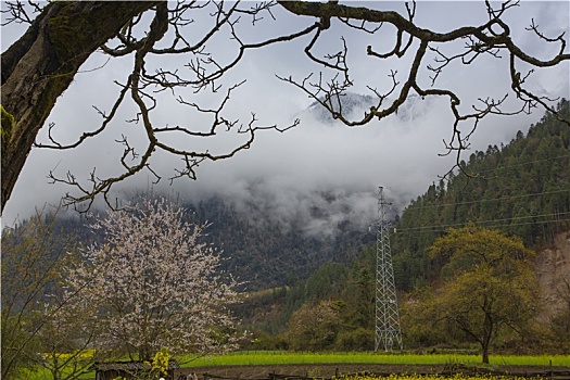 川藏南线路上风景