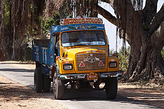 彩色,卡车,旅行,道路,印度南部,印度,南亚,亚洲