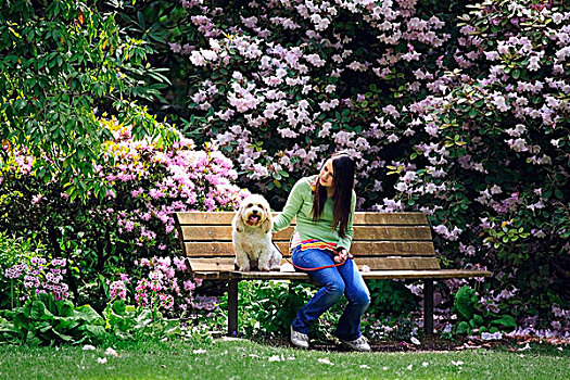 女孩,坐,长椅,狗,公园