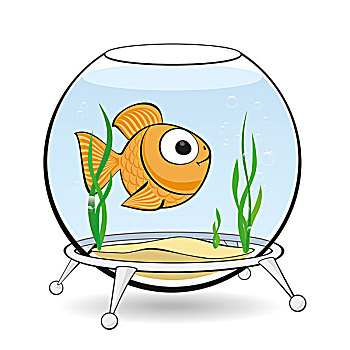 金鱼,鱼缸