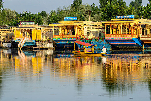 船,湖,船屋,背影,斯利那加,查谟-克什米尔邦,印度,亚洲