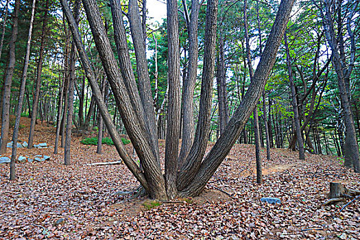 锦江山公园