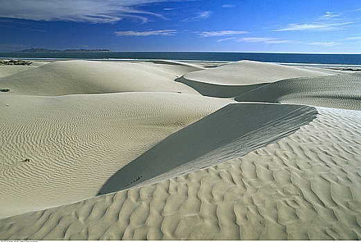 沙丘,北下加利福尼亚州,墨西哥