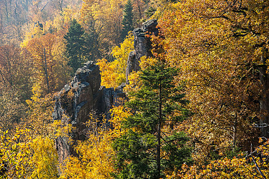 石头,秋天,山,黑森林地区,巴登巴登,巴登符腾堡,德国,欧洲