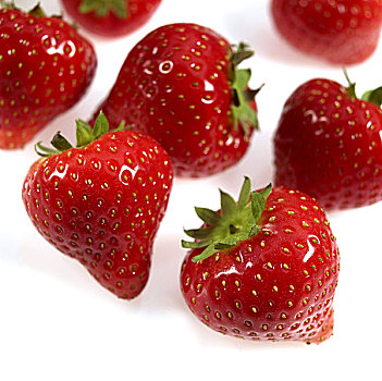 草莓,野草莓,水果,白色背景
