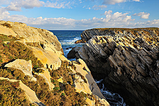 岩石,海岸线,葡萄牙