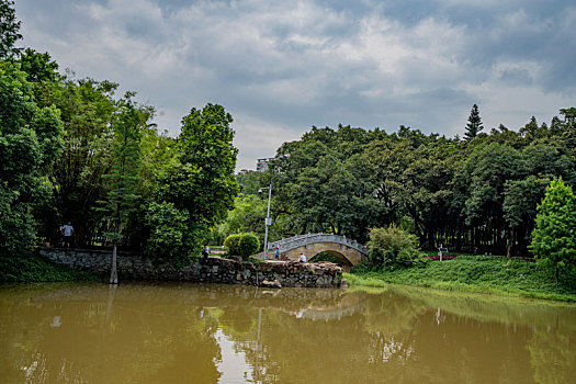 夏天羊城广州天河公园蓝天白云下的绿树与湖水相得益彰