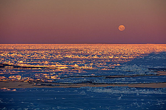 南极,威德尔海,浮冰,午夜,阳光,满月