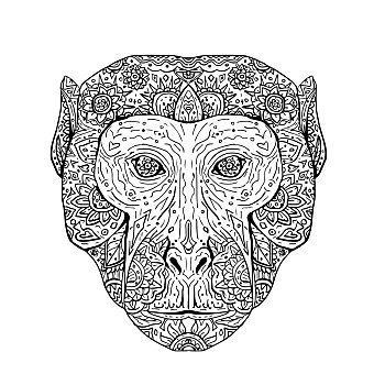 猕猴,头部,正面,宗教坛场