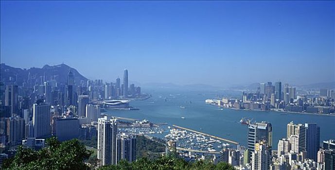 城市,山,香港