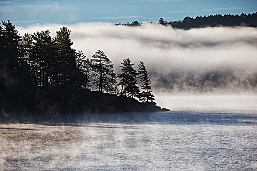 雾气,湖,两个,河,日出,阿尔冈金公园,安大略省,加拿大