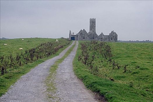 道路,城堡,戈尔韦郡,爱尔兰