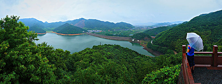 鄞州,横溪镇,金鹅湖,全景,俯瞰,绿色,生态,茶园