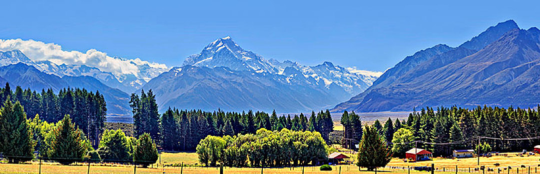 雪,顶峰,库克山,奥拉基,排,树,农场,库克山国家公园,新西兰,阿尔卑斯山,南岛,大洋洲