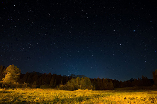 夜晚,风景,星光