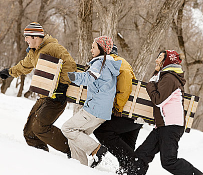 四个,年轻人,木质,雪橇,雪