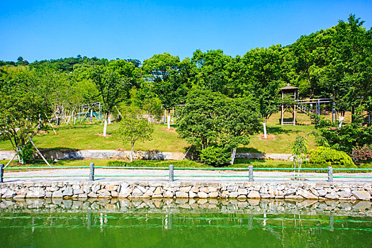 湖,水面,垂钓,自然