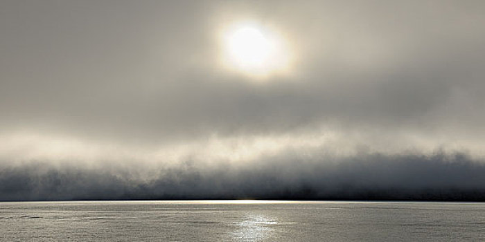 雾,峡湾,格陵兰