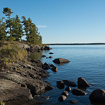 石头,海岸,湖,木头,安大略省,加拿大