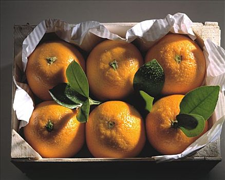橘子,板条箱