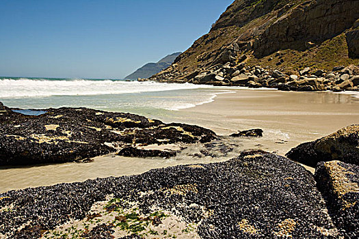 石头,海岸,南非