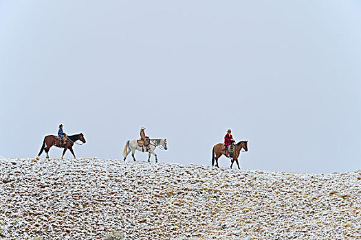 牛仔,两个,孩子,骑,地平线,雪,落基山脉,怀俄明,美国