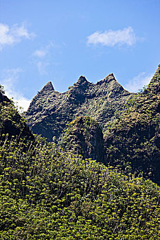 考艾岛,夏威夷,美国,陡峭,山地,纳帕利海岸,茂密,热带,植被,独特,雨林