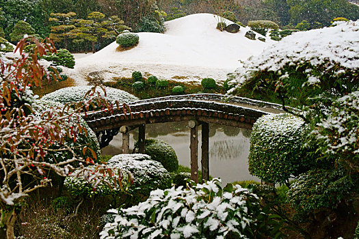 雪,秋天,花园,熊本,日本