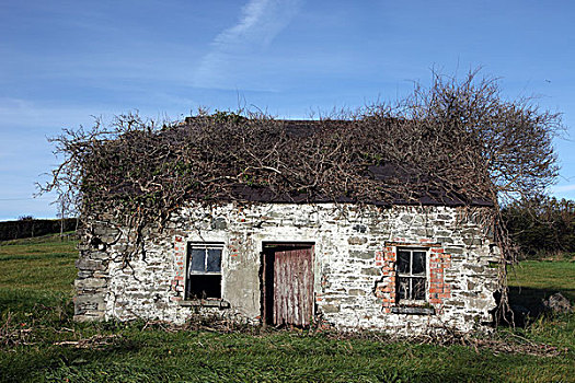 爱尔兰,废弃,屋舍,特色,家园,19世纪