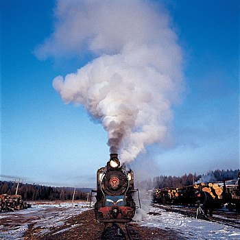 蒸汽机车,东北方