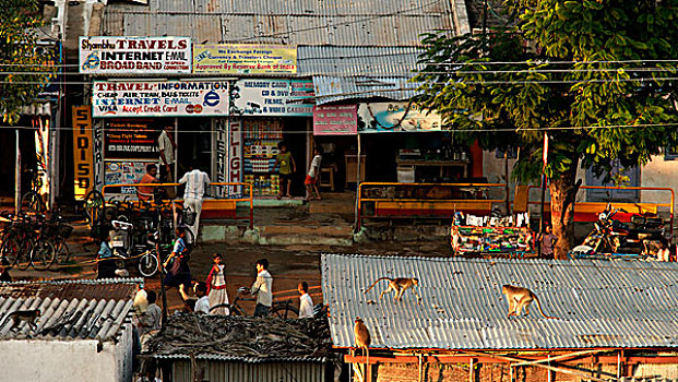 街景,印度
