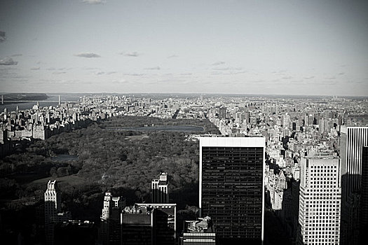 俯拍,中央公园,纽约