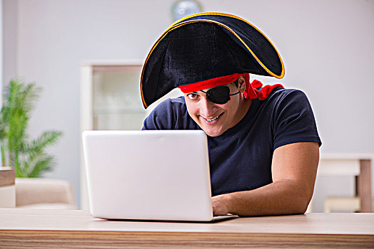 数码,安全,概念,海盗,电脑